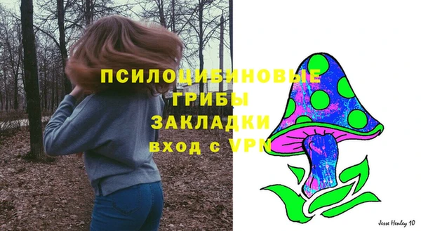 тгк Алзамай