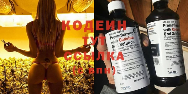 прущие грибы Алексеевка
