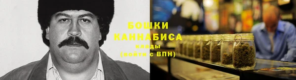 прущие грибы Алексеевка